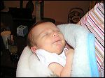 pict0005